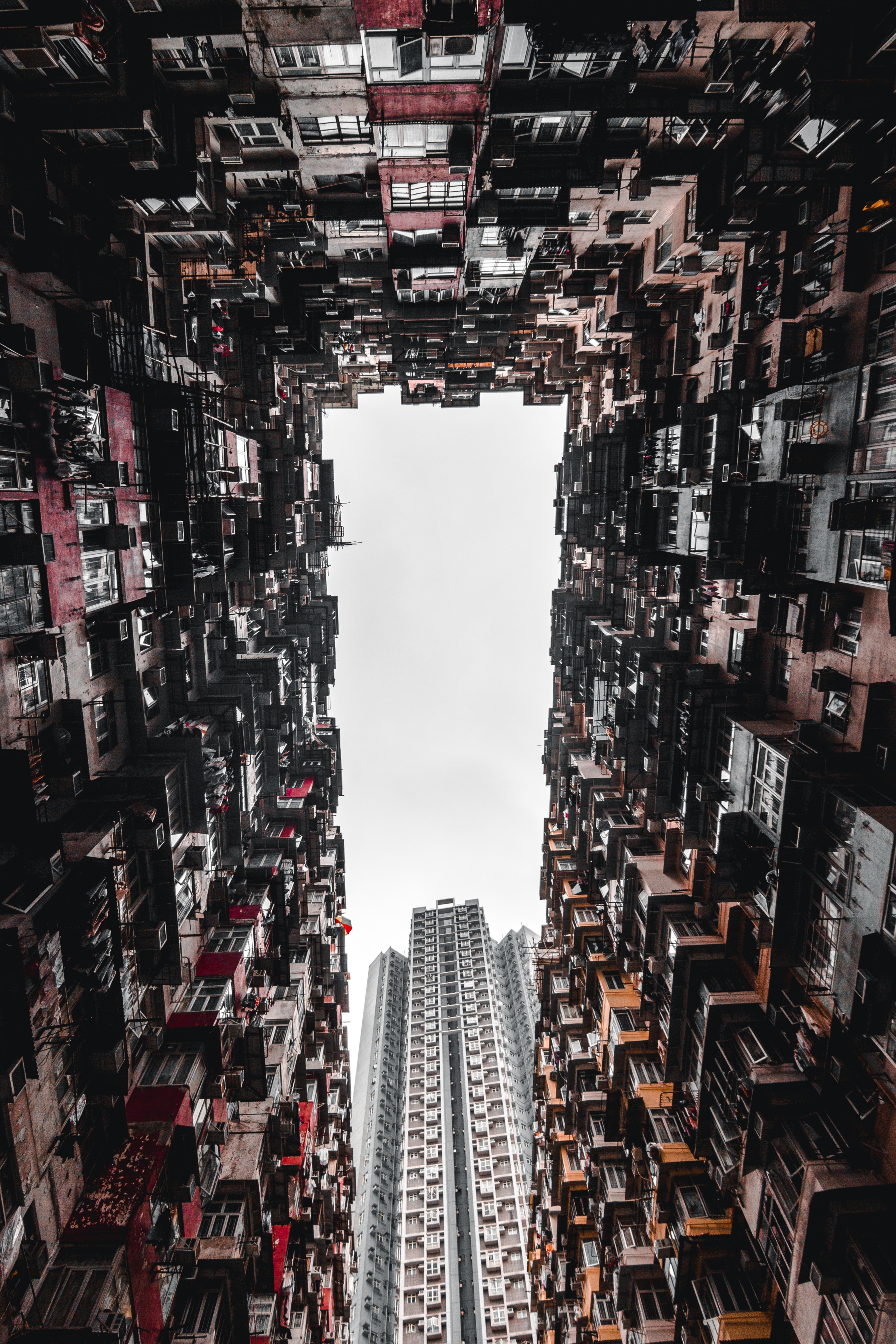 Photo by Alexandr Bormotin on Unsplash